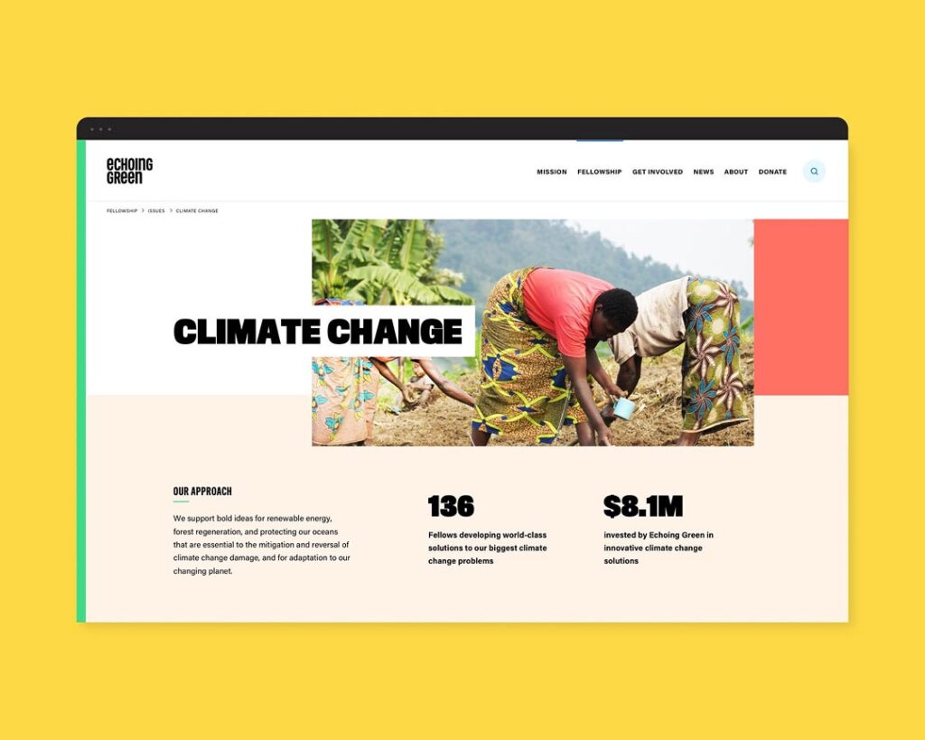 Echoing Green website